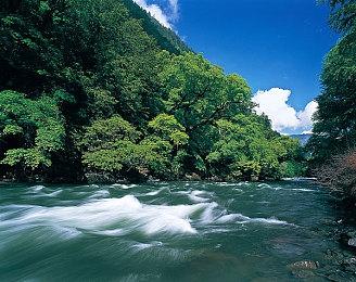 《炉石传说》最新扩展包“深暗领域”现已公布 11月6日上线