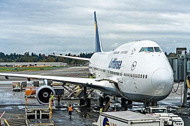 《皮克敏4》实机演示 试玩版已开发下载